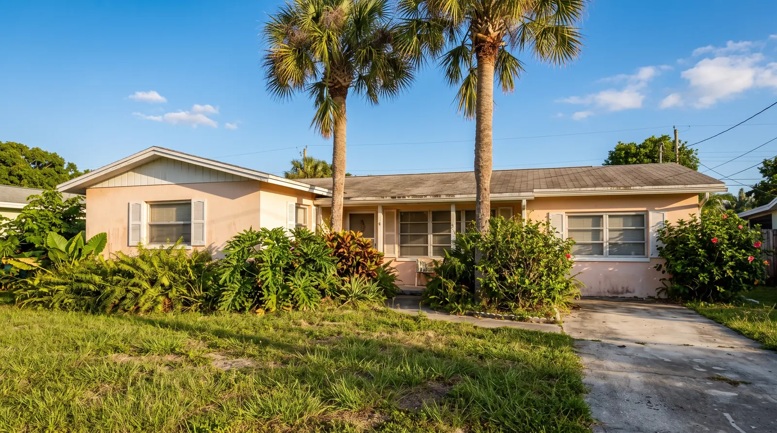 florida house tax deed palm trees